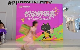 mini悦动野猫赛燃动天津梅江印象城！联动印力花花节解锁文体商融合新热潮